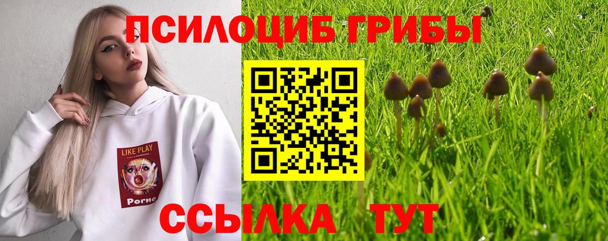 Псилоцибиновые грибы Magic Shrooms Ликино-Дулёво